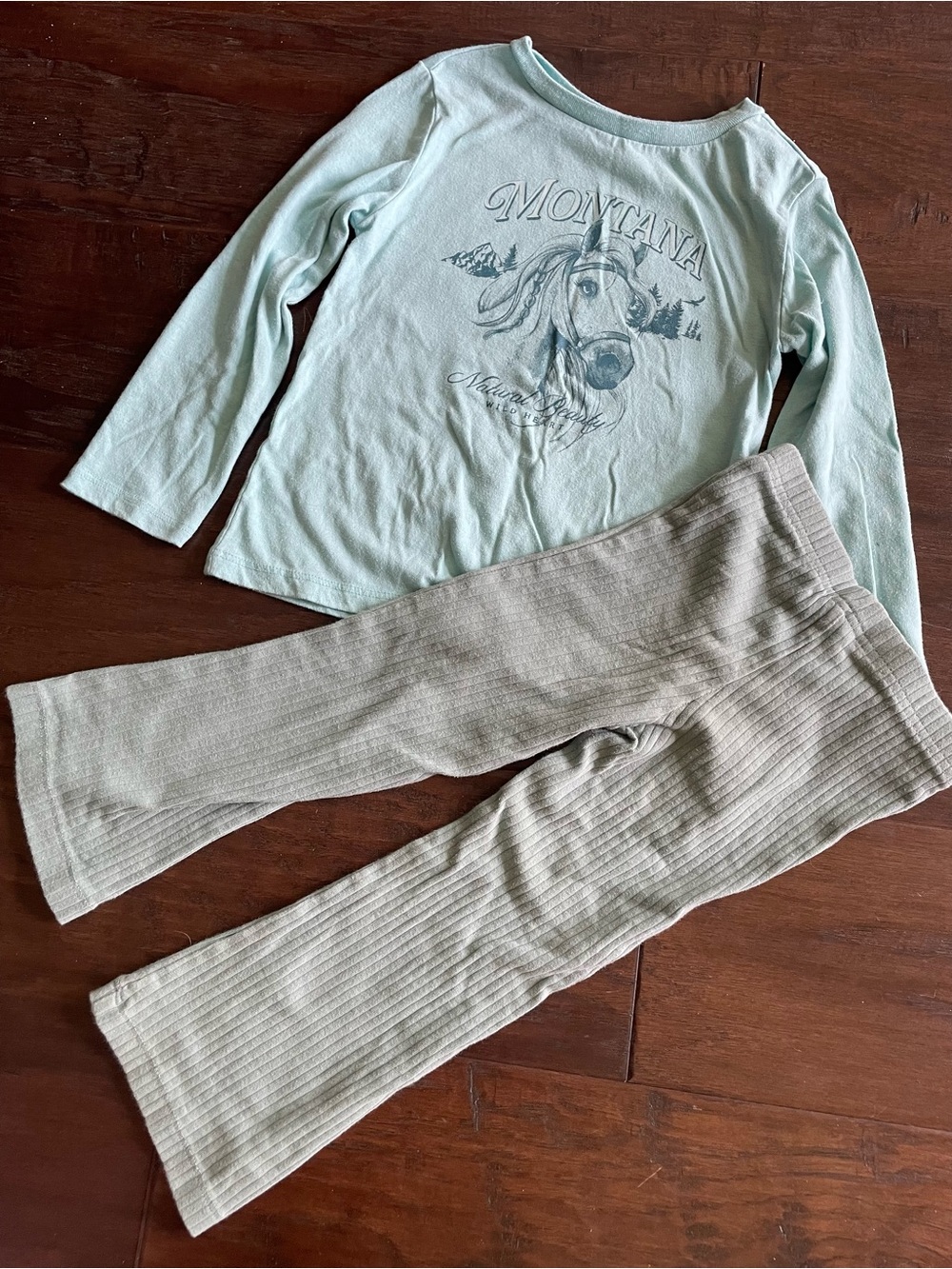 Toddler Girls Mint Green Graphic Long Sleeve Top and Ribbed Pants Set